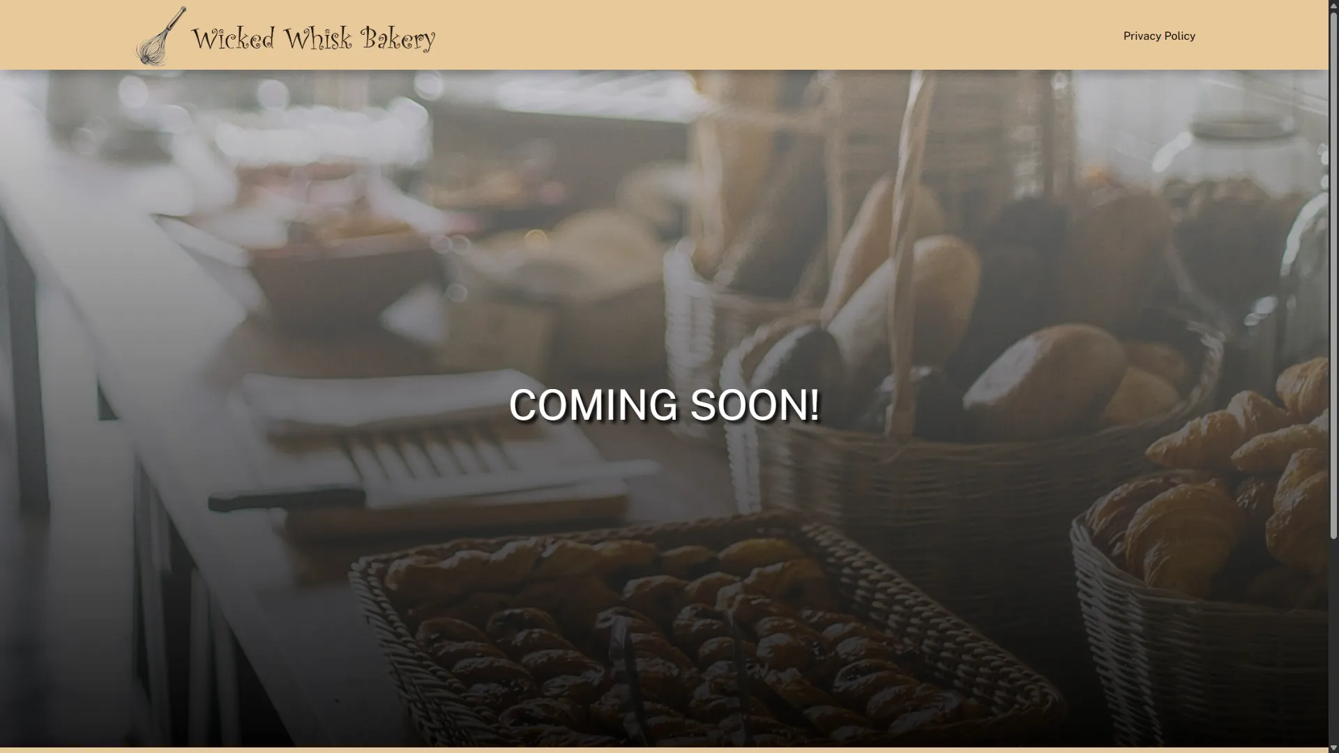wickedwhiskofsolon.com Snapshot